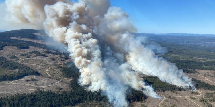 Smoke rises from the Burgess Creek wildfire