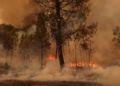 burning area during a wildfire in Sao Pedro do Sul