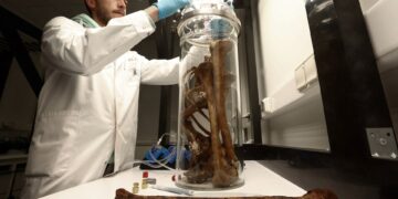 ঠান্ডার সমস্যা সমাধানে সাহায্য করার জন্য বিজ্ঞানী বোতলের হাড়ের গন্ধ পান