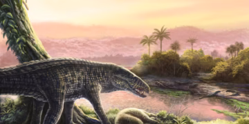 জীবাশ্মগুলি হিংস্র ভূমিতে বসবাসকারী কুমিরের অপ্রত্যাশিত শেষ আশ্রয়স্থল দেখায়