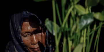 ইন্দোনেশিয়ান নারী ক্রমবর্ধমান জলোচ্ছ্বাস প্রতিরোধ করতে ম্যানগ্রোভের দিকে ফিরেছেন৷