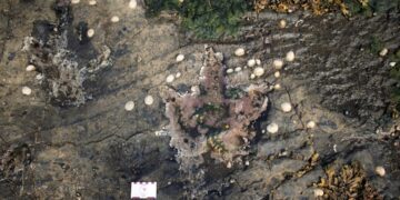 আইল অফ স্কাই পায়ের ছাপ ডাইনোসর জীবনের একটি শান্ত সময়ের তত্থ দেয়