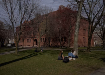 Harvard University