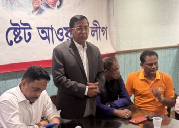 নান্নু আহমেদ