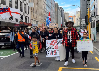 Te Pati Maori