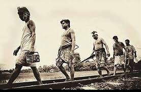 আলবদর