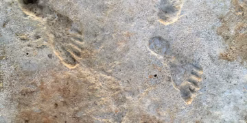 নিউ মেক্সিকো