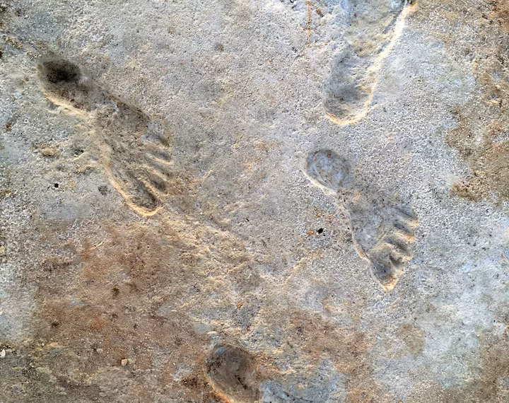 নিউ মেক্সিকো