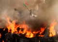 লস অ্যাঞ্জেলেসে