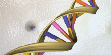 আইভিএফ কৌশল শিশুদের বংশগত রোগ থেকে রক্ষা করেছে