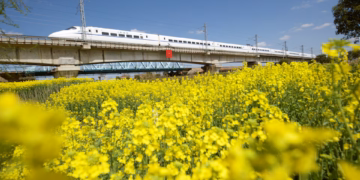 অস্ট্রেলিয়া