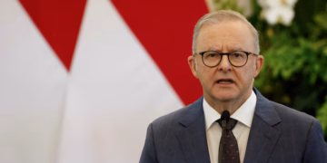 আলবানিজ