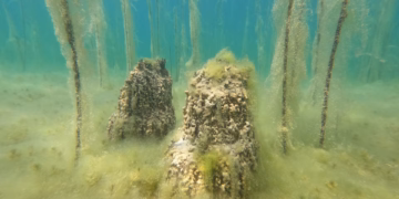 আলবেনিয়ায়