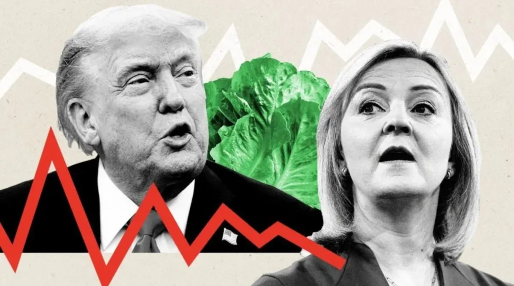 মার্কিন