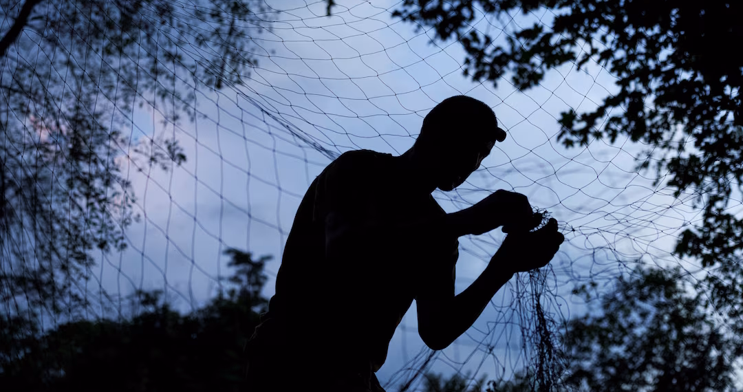 ট্রাম্প