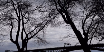 কানাডা