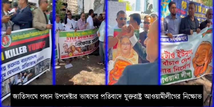 জাতিসংঘে