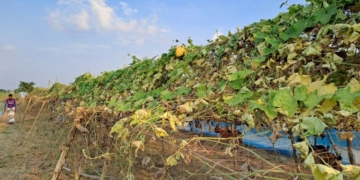 সাঁথিয়ায়
