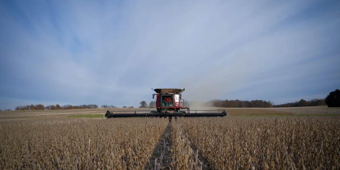 মার্কিন