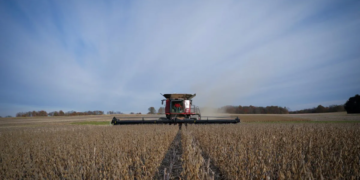 মার্কিন