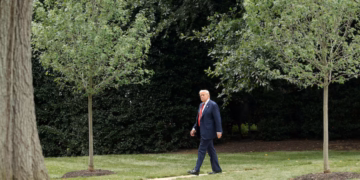 ট্রাম্প