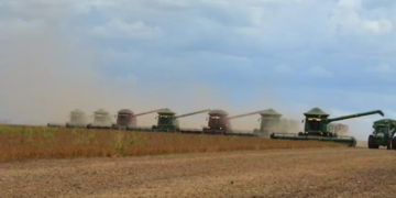 ব্রাজিল