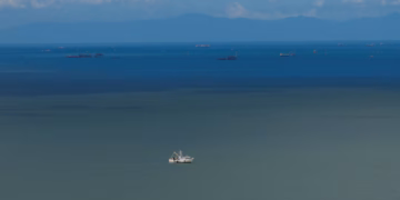 ভেনেজুয়েলার