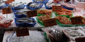 সামুদ্রিক