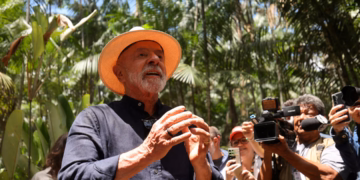 ব্রাজিলের