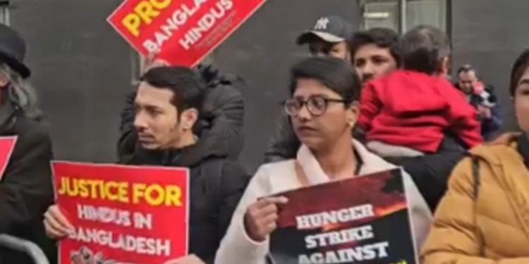 টিউলিপ