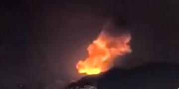 ভেনেজুয়েলার