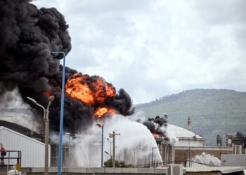 ট্রাম্প