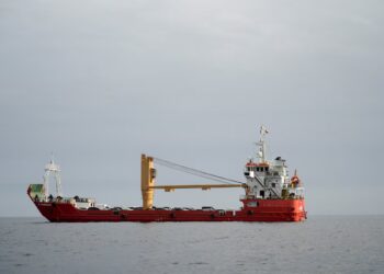 মার্কিন