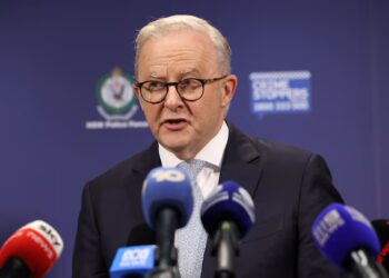 আলবানিজ