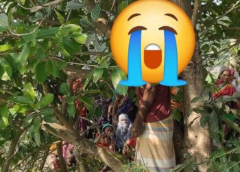 সাঁথিয়ায়