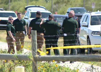 পিনেলাস