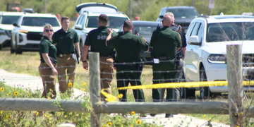 পিনেলাস