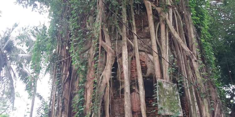 সাঁথিয়ার তলট জমিদারবাড়ির ধ্বংসাবশেষ প্রাচীন নিত্যানন্দ মঠটি সংস্কার করা দরকার