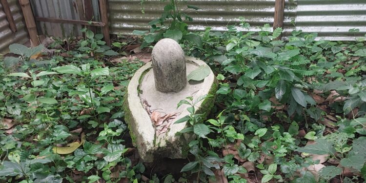 সাঁথিয়ার তলট জমিদারবাড়ির ধ্বংসাবশেষ প্রাচীন নিত্যানন্দ মঠটি সংস্কার করা দরকার