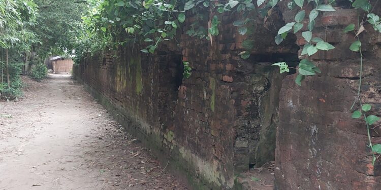 সাঁথিয়ার তলট জমিদারবাড়ির ধ্বংসাবশেষ প্রাচীন নিত্যানন্দ মঠটি সংস্কার করা দরকার