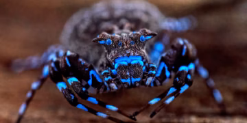 বিশেষজ্ঞরা