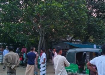 সাঁথিয়ায় আম পাড়তে গাছে উঠে কৃষকের মৃত্যু
