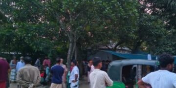 সাঁথিয়ায় আম পাড়তে গাছে উঠে কৃষকের মৃত্যু