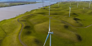 ট্রাম্প