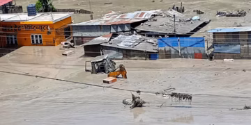 নেপাল