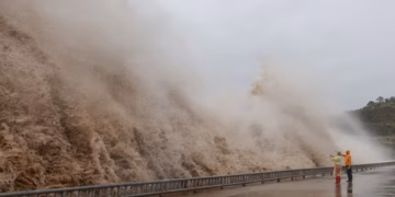 টাইফুন
