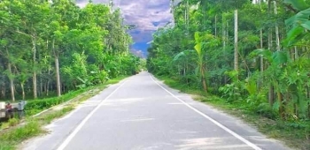 হাইমচর–চাঁদপুর সড়কপথে অতিরিক্ত ভাড়া: যাত্রীদের জিম্মিদশার অবসান হোক