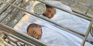 ভিমরুলের